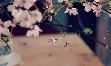 陨盗文言文扩写