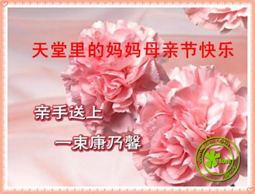 母爱，我的情感天堂