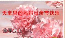 母爱，我情感的天堂