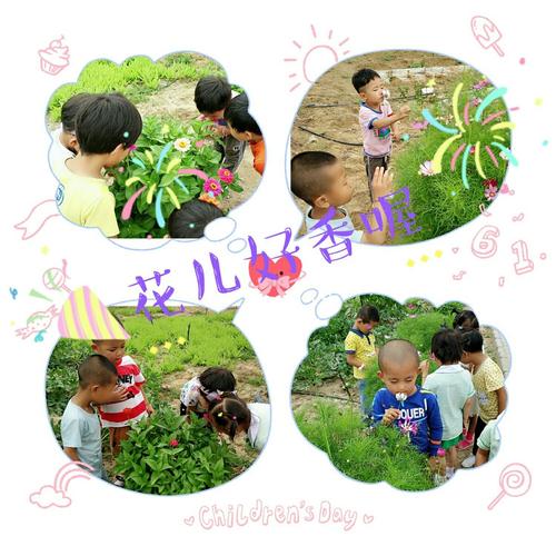寻找夏天