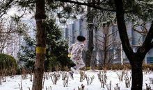 我与雪的一次邂逅