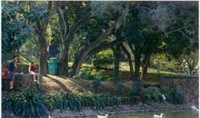 我爱家乡美丽的石排公园