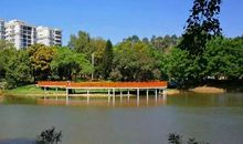 美丽的石排公园