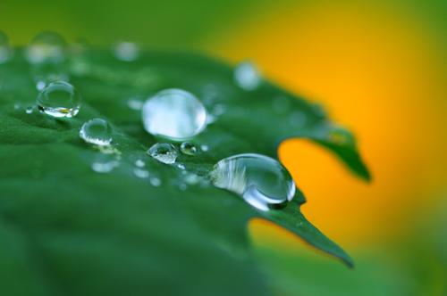 雨中的世界