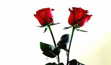 生活之美无处不在