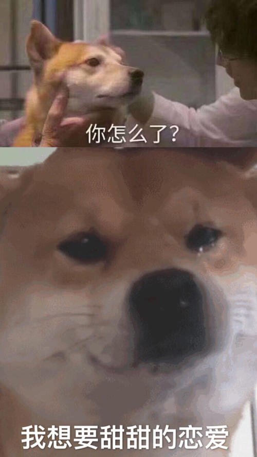 我怎么了