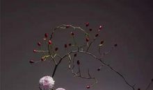 享受过程，品味人生