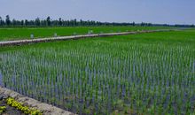实验基地一日游