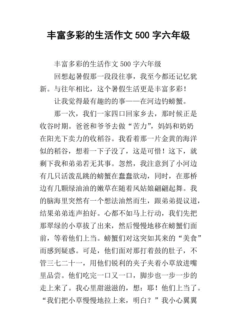 丰富的暑假作文500字