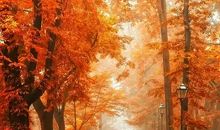 细品人生路上的喜悦