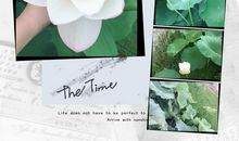 奶奶家门前的荷塘