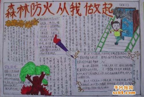 森林防火始于我