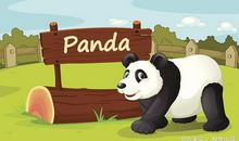 小小动物园作文把家人比喻成动物