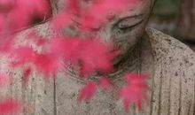 震撼心灵的善意