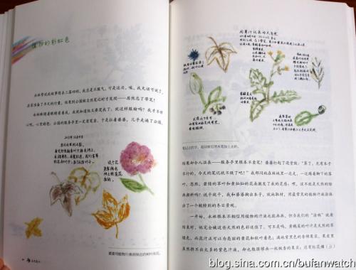 看完生活的色彩