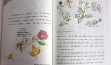 生命的色彩读后感