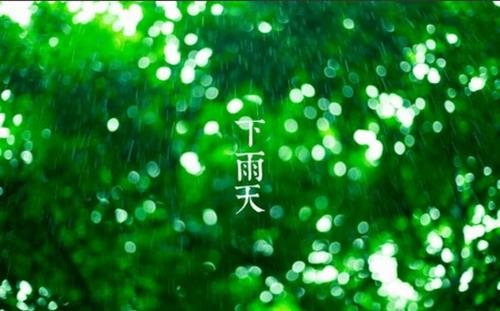 在那些凉爽的日子