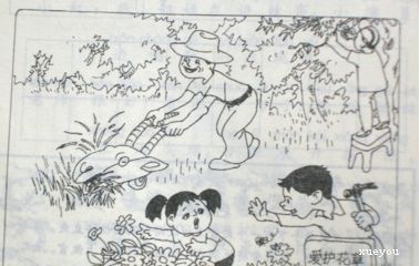 不摘花二年级作文