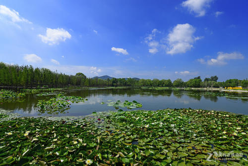 美丽的云龙湖