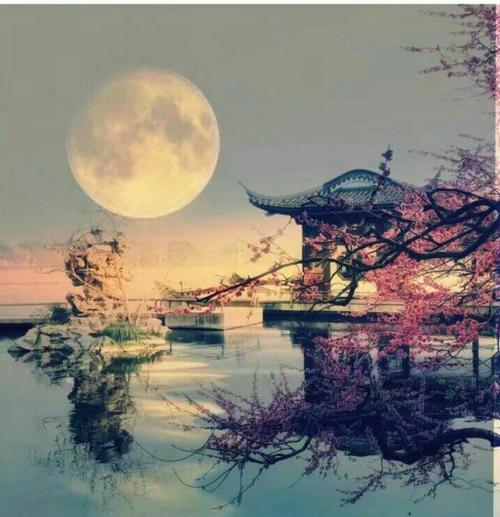 我心中的明月