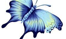 我梦见自己变成蝴蝶