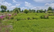 迷人的乡村景色