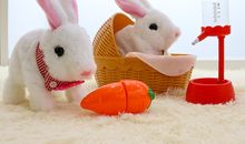 会走路的小数点