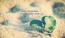 母爱像阳光一样温暖