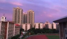 洒满阳光的记忆