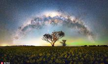 仰望自然，你会发现