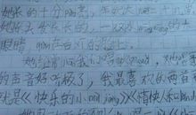 二年级作文写一种动物