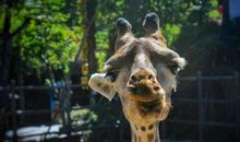 我真的感到温暖