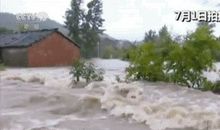 莫让信息洪水冲走了善良之流