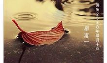 学习与生活需要坚持