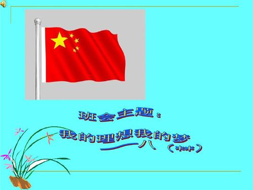 我初中我的梦想