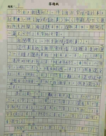 写奶奶的作文
