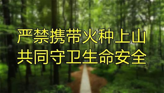 扫墓节文明牺牲