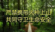 清明节文明祭祀