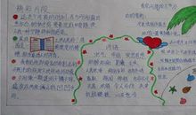 读书陪伴我成长