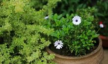 那些让我怀念的老物品