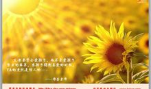 感谢你们走进我的生命