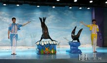 小记者“首秀”