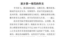 第一场雪作文