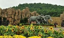 游长沙生态动物园