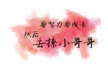 是金子总会发光