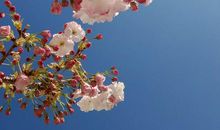 放飞梦想追逐青春