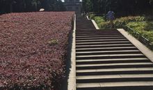 寻找烈士的足迹