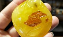 让追求的心不老