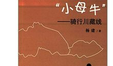 一路阳光，一路有你