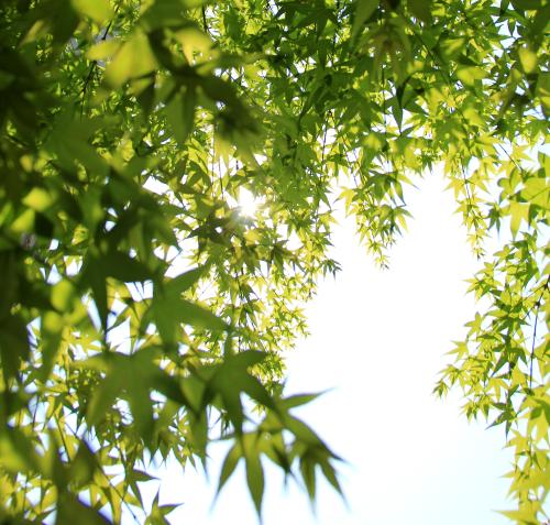 走向充满活力的春天